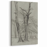 Sketch of Bare Trees - Mysterious Forest Gothic Wall Art Print