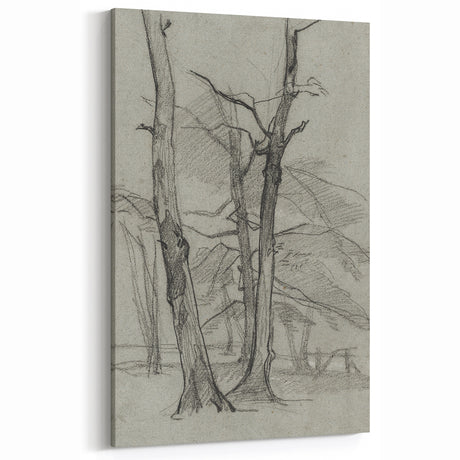 Sketch of Bare Trees - Mysterious Forest Gothic Wall Art Print