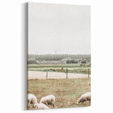 Farmhouse Wall Art: Rustic Country Style with Grazing Sheep Scene