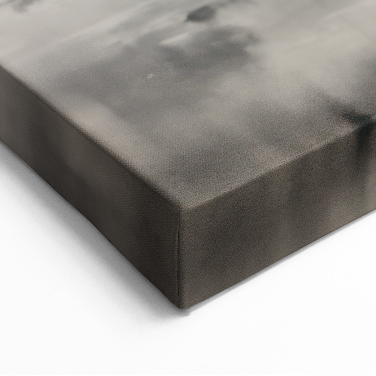 Electric Wall Art - Abstract Monochrome Walk Through Foggy Landscape
