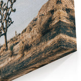 Farmhouse Wall Art: Joshua Tree Desert Scene for Rustic Country Decor