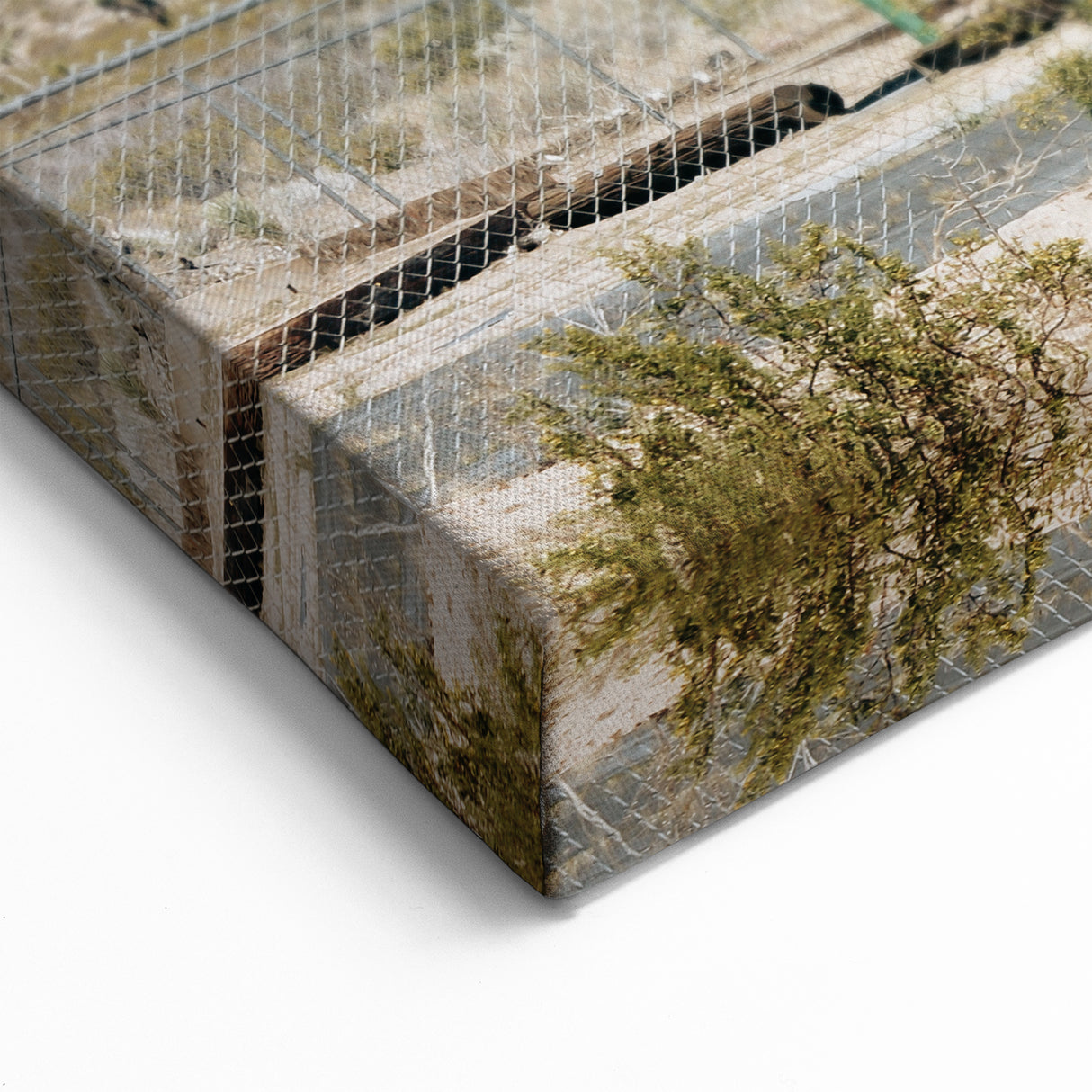 Farmhouse Wall Art: Desert Architecture with Joshua Tree for Rustic Decor