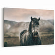 Farmhouse Wall Art: Majestic Horse for Rustic Country Farmhouse Decor