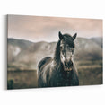 Farmhouse Wall Art: Majestic Horse for Rustic Country Farmhouse Decor