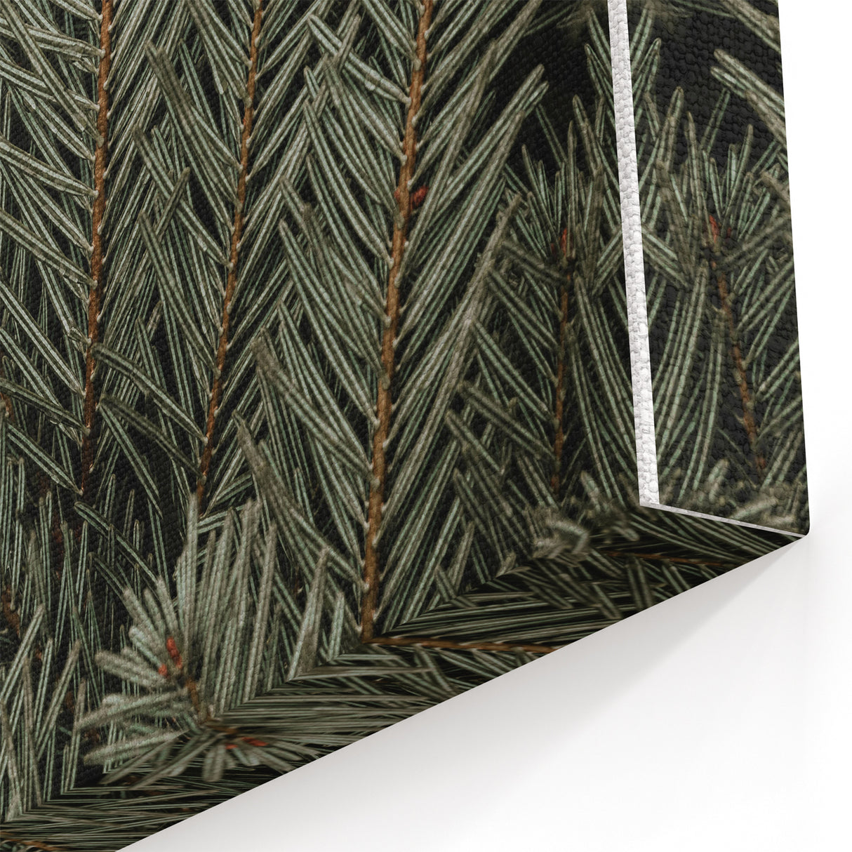 Evergreen Pine Needles Art - Rustic Nature Wall Decor