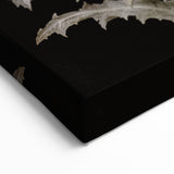 Dark Moody Wall Art - Botanical Elegance with Butterflies and Snails