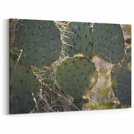 Rustic Cactus Wall Art – Vintage Farmhouse Country Style Decor Piece