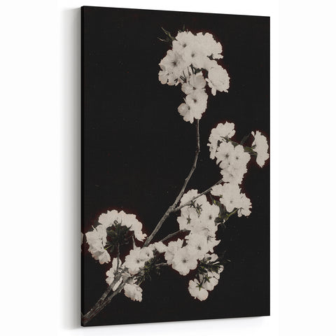 Dark Moody Wall Art - Elegant White Blossoms on Black Background