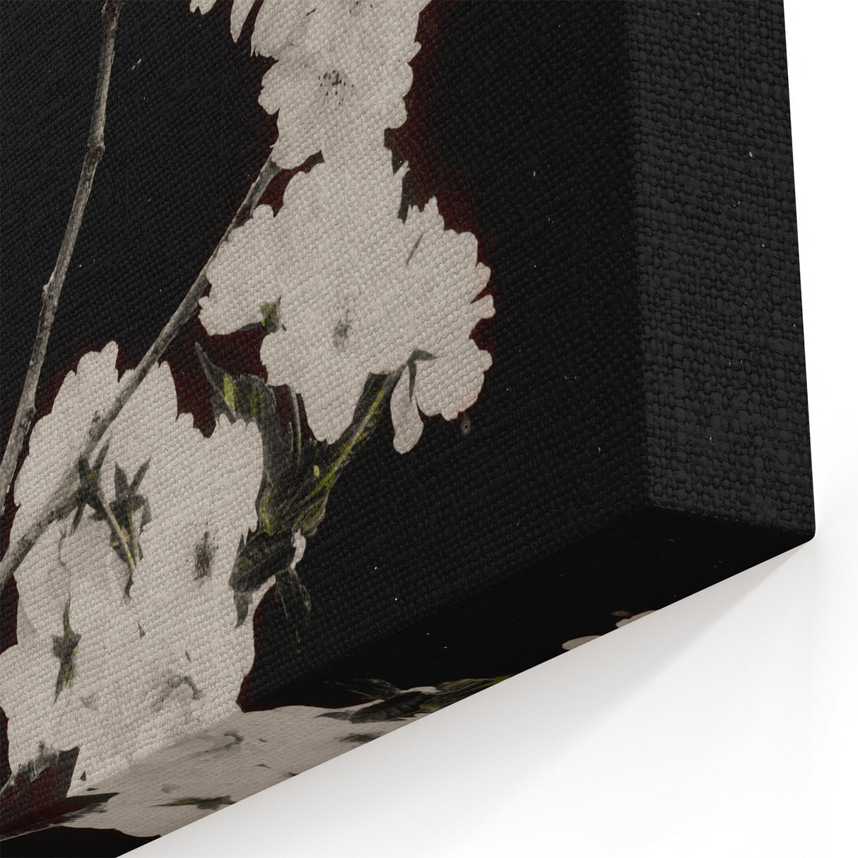 Dark Moody Wall Art - Elegant White Blossoms on Black Background