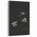 Ephemeral White Blossoms - Minimalist Floral Art
