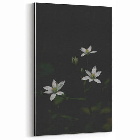 Ephemeral White Blossoms - Minimalist Floral Art