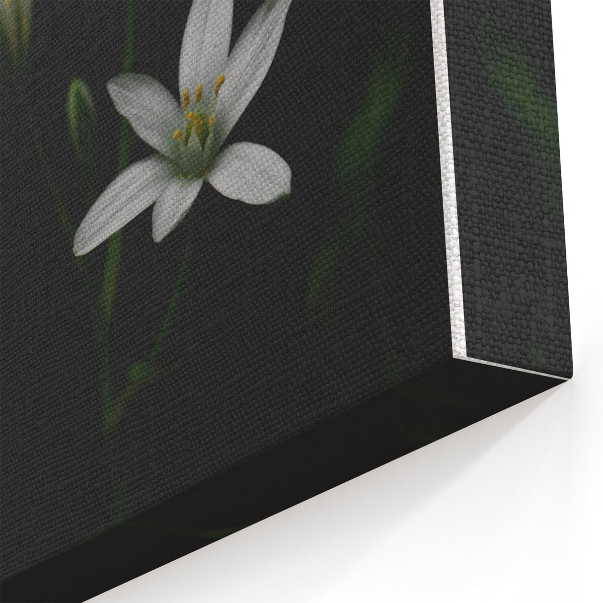 Ephemeral White Blossoms - Minimalist Floral Art