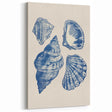 Coastal Wall Art: Blue Seashell Collection - Nautical Oceanic Decor