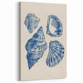 Coastal Wall Art: Blue Seashell Collection - Nautical Oceanic Decor