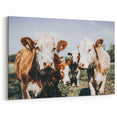 Farmhouse Cows Wall Art – Rustic Country Style Decor for Home