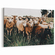 Farmhouse Sheep Wall Art – Rustic Country Style Decor for Home