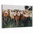 Farmhouse Sheep Wall Art – Rustic Country Style Decor for Home