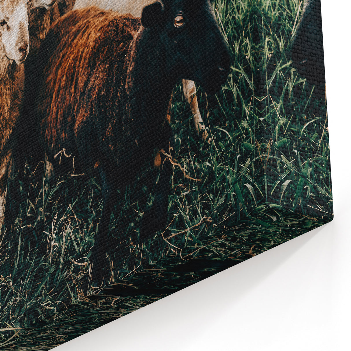 Farmhouse Sheep Wall Art – Rustic Country Style Decor for Home