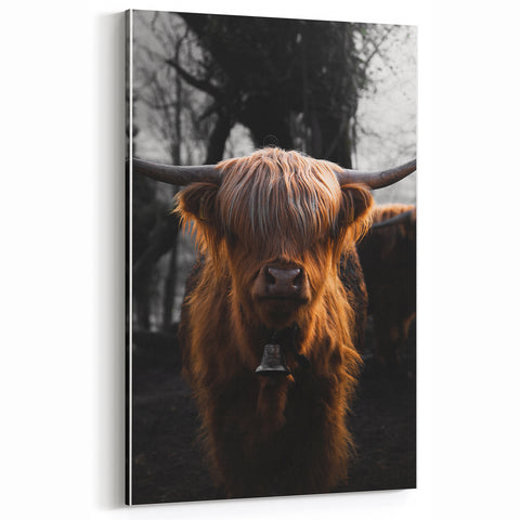 Majestic Highland Cow - Rustic Farmhouse Animal Art
