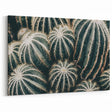 Farmhouse Wall Art: Cactus Close-Up - Rustic Desert Country Decor