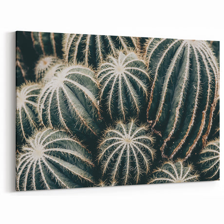 Farmhouse Wall Art: Cactus Close-Up - Rustic Desert Country Decor
