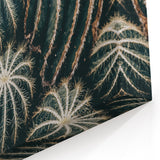 Farmhouse Wall Art: Cactus Close-Up - Rustic Desert Country Decor