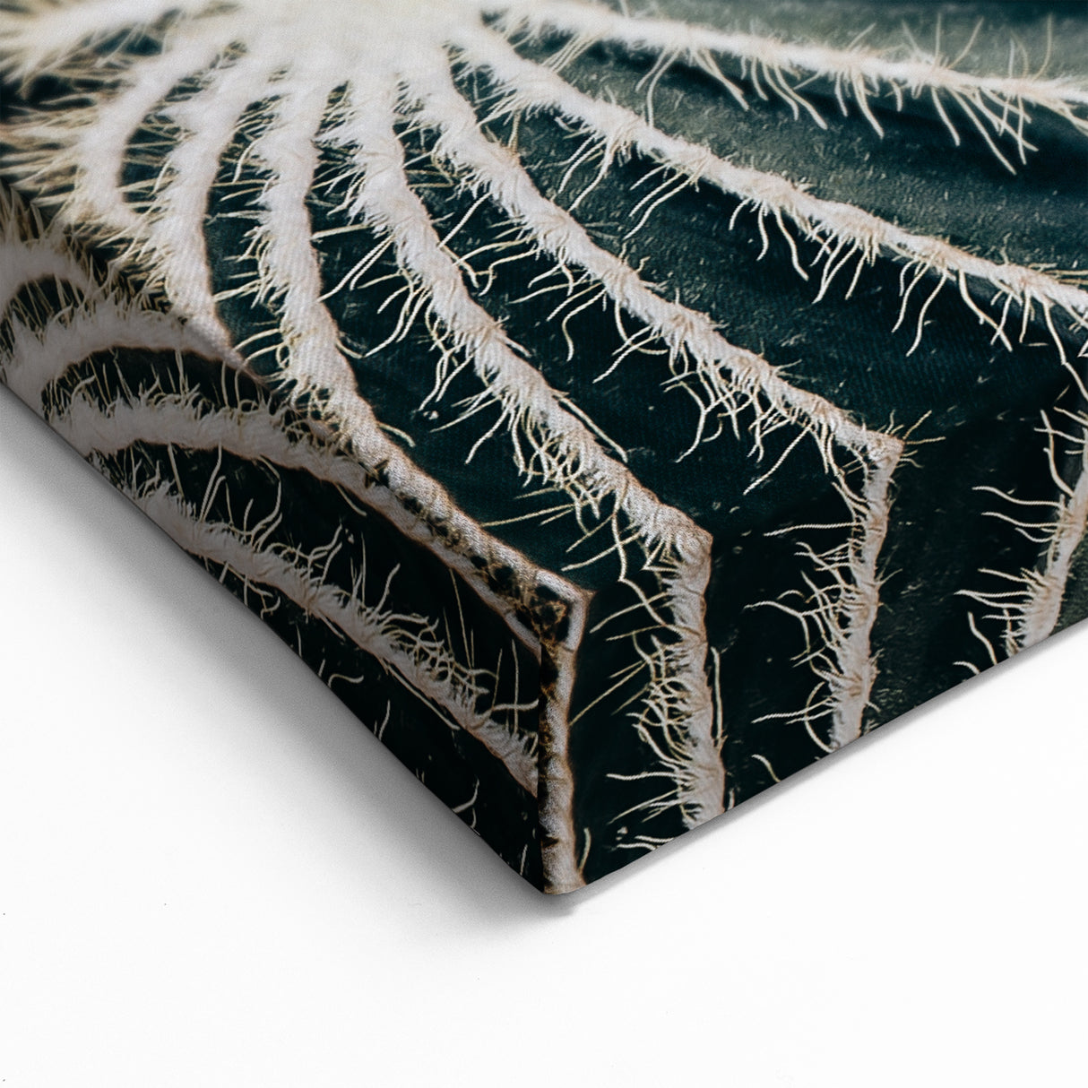 Farmhouse Wall Art: Cactus Close-Up - Rustic Desert Country Decor