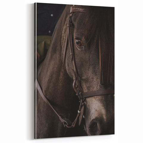 Intimate Horse Portrait - Deep Rustic Equine Art