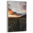 Sunset Sunflower Field - Rustic Floral Landscape Art