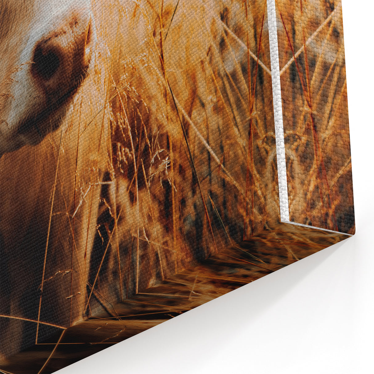 Golden Field Cow - Tranquil Rustic Farm Art