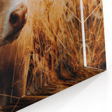 Golden Field Cow - Tranquil Rustic Farm Art
