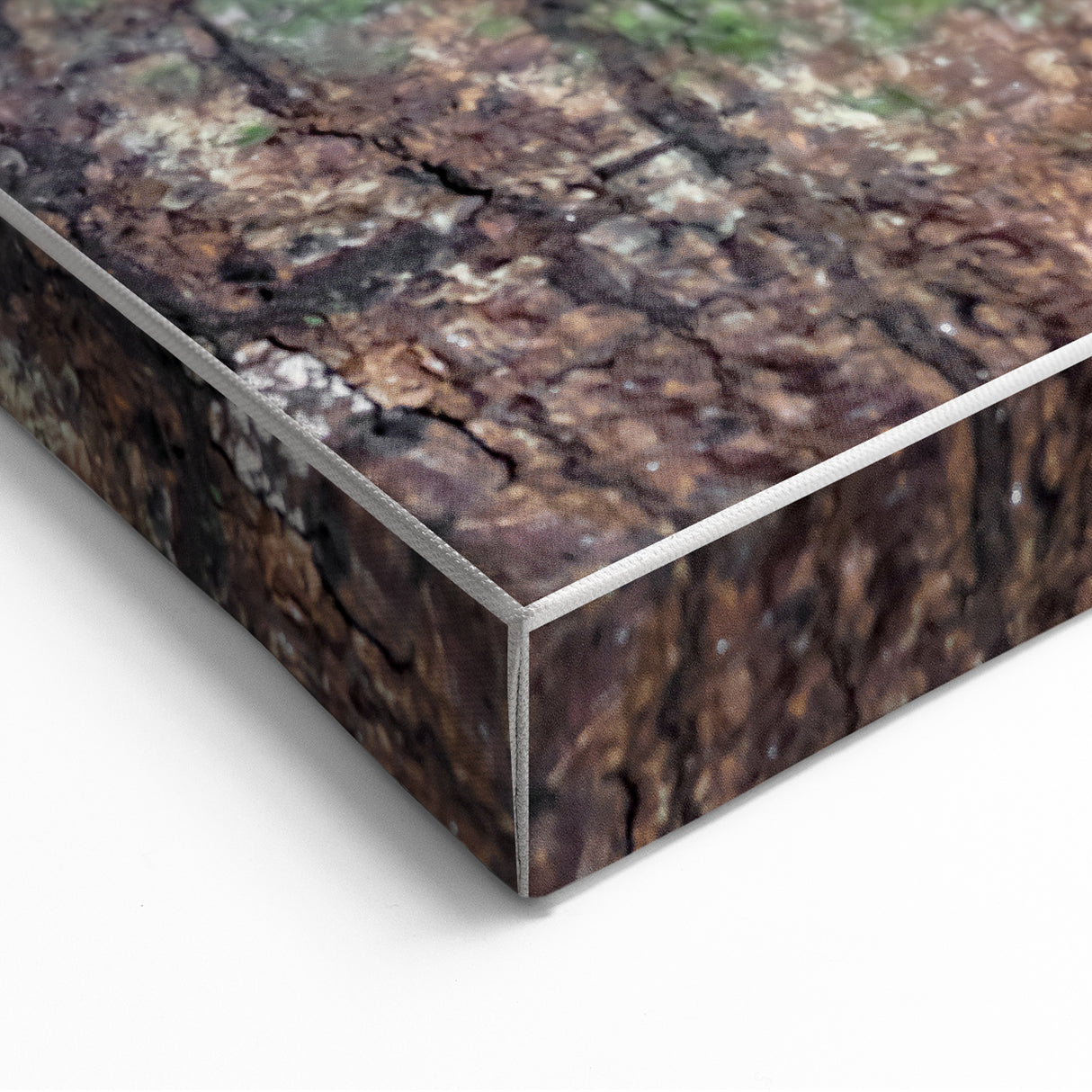 Rustic Wall Art - Camouflaged Nature Scene for Farmhouse Decor