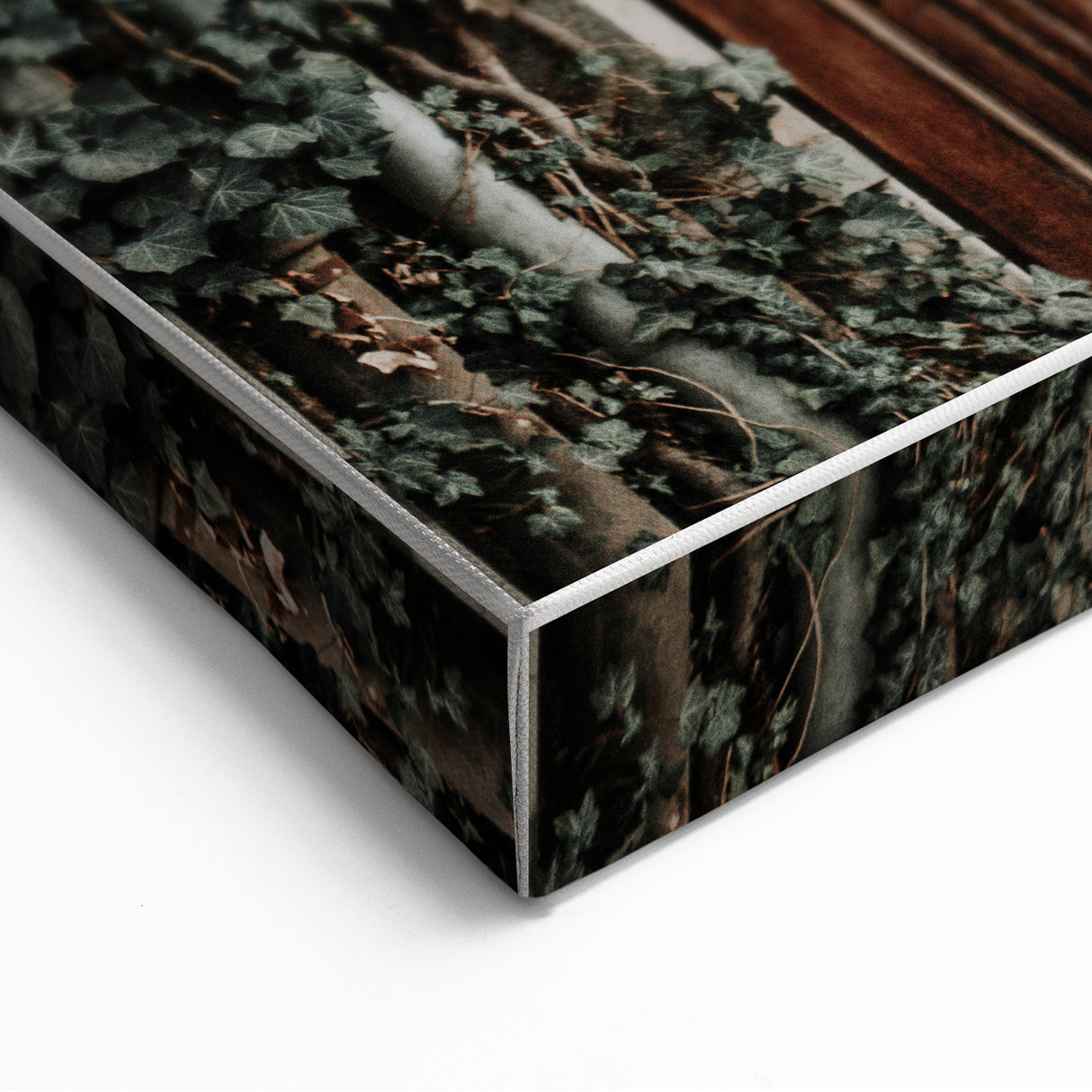 Rustic Wall Art - Ivy-Covered Wooden Door for Farmhouse Decor