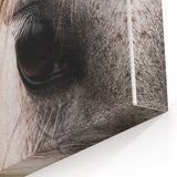 Rustic Wall Art - Horse Close-Up Farmhouse Decor for Rustic Homes