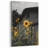 Rustic Wall Art - Sunflower Bloom Farmhouse Decor for Rustic Homes