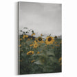 Rustic Wall Art - Sunflower Field Farmhouse Decor for Cozy Homes