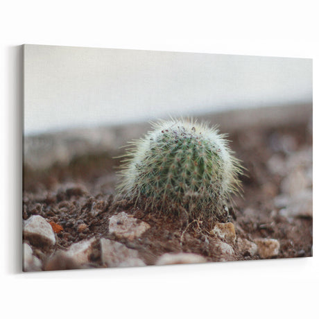 Rustic Cactus Farmhouse Wall Art – Vintage Country Style Decor Print