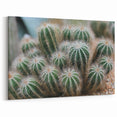 Green Cactus Cluster Farmhouse Wall Art – Rustic Country Decor Print