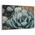 Agave Plant Farmhouse Wall Art – Rustic Country Style Decor Print