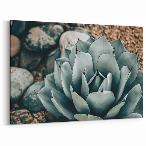 Agave Plant Farmhouse Wall Art – Rustic Country Style Decor Print