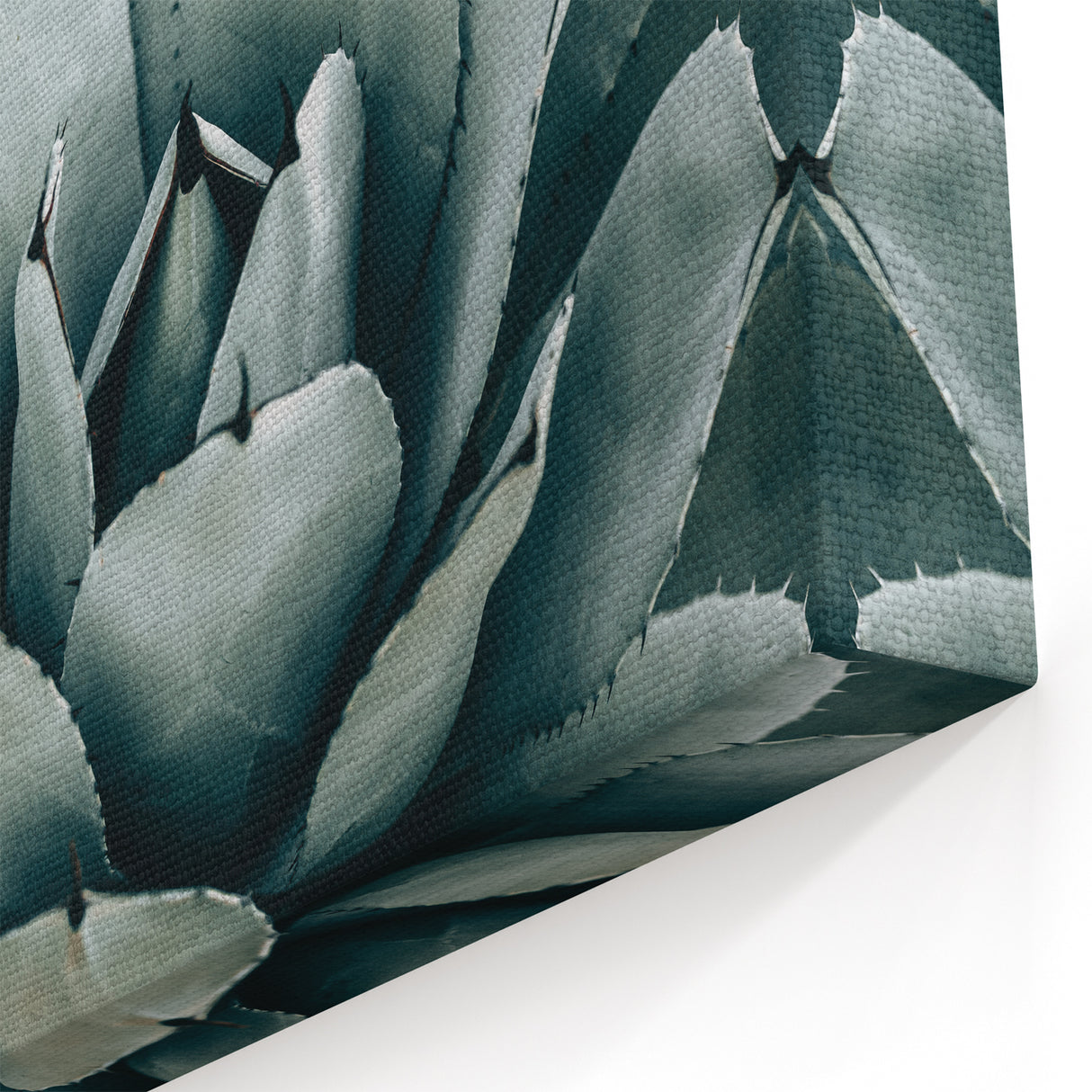 Agave Plant Farmhouse Wall Art – Rustic Country Style Decor Print