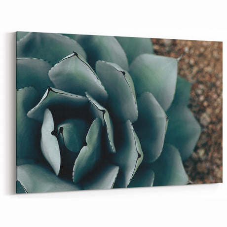 Agave Plant Close-Up Farmhouse Wall Art – Rustic Country Style Decor