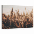 Golden Grass in Sunlight Farmhouse Wall Art – Rustic Country Decor Print