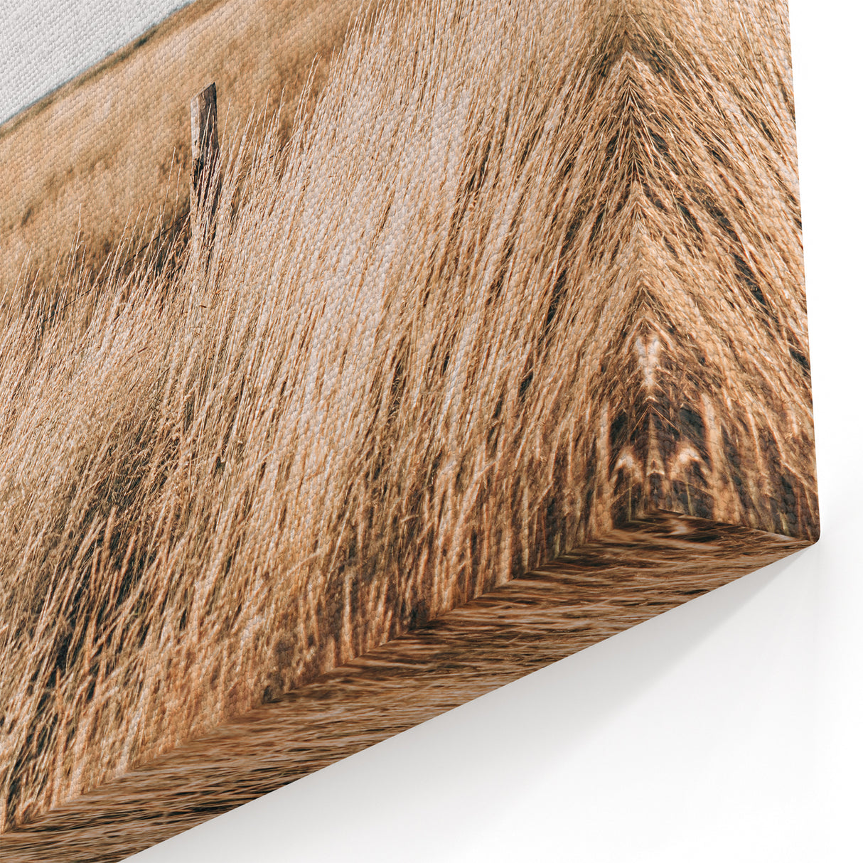 Golden Grass Field Farmhouse Wall Art – Rustic Country Decor Print