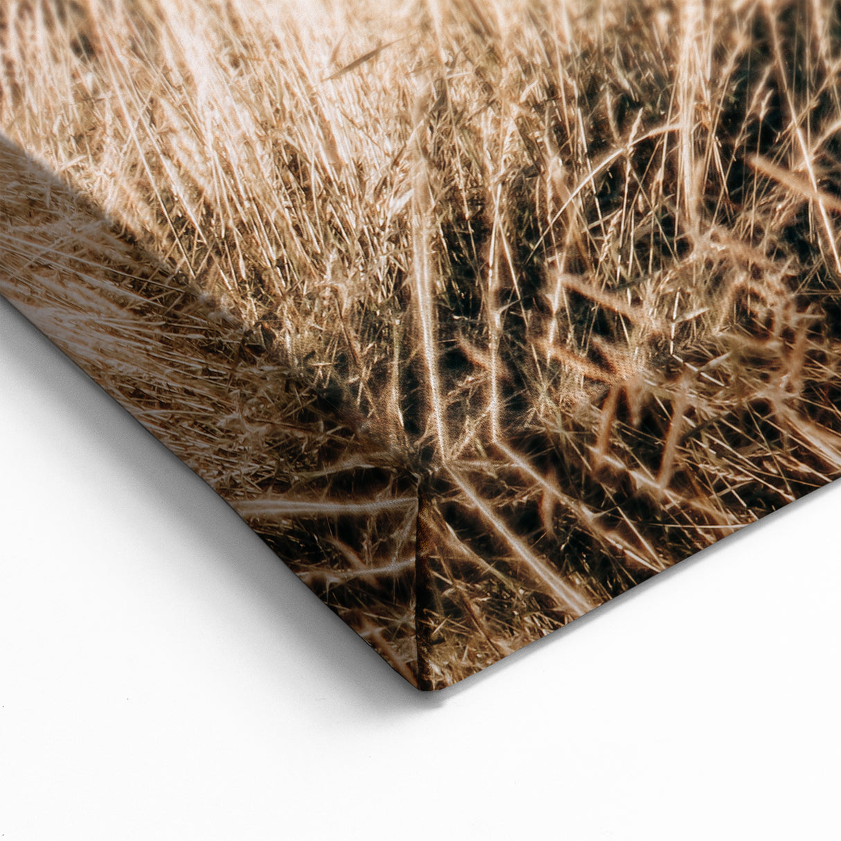 Golden Grass Field Farmhouse Wall Art – Rustic Country Decor Print