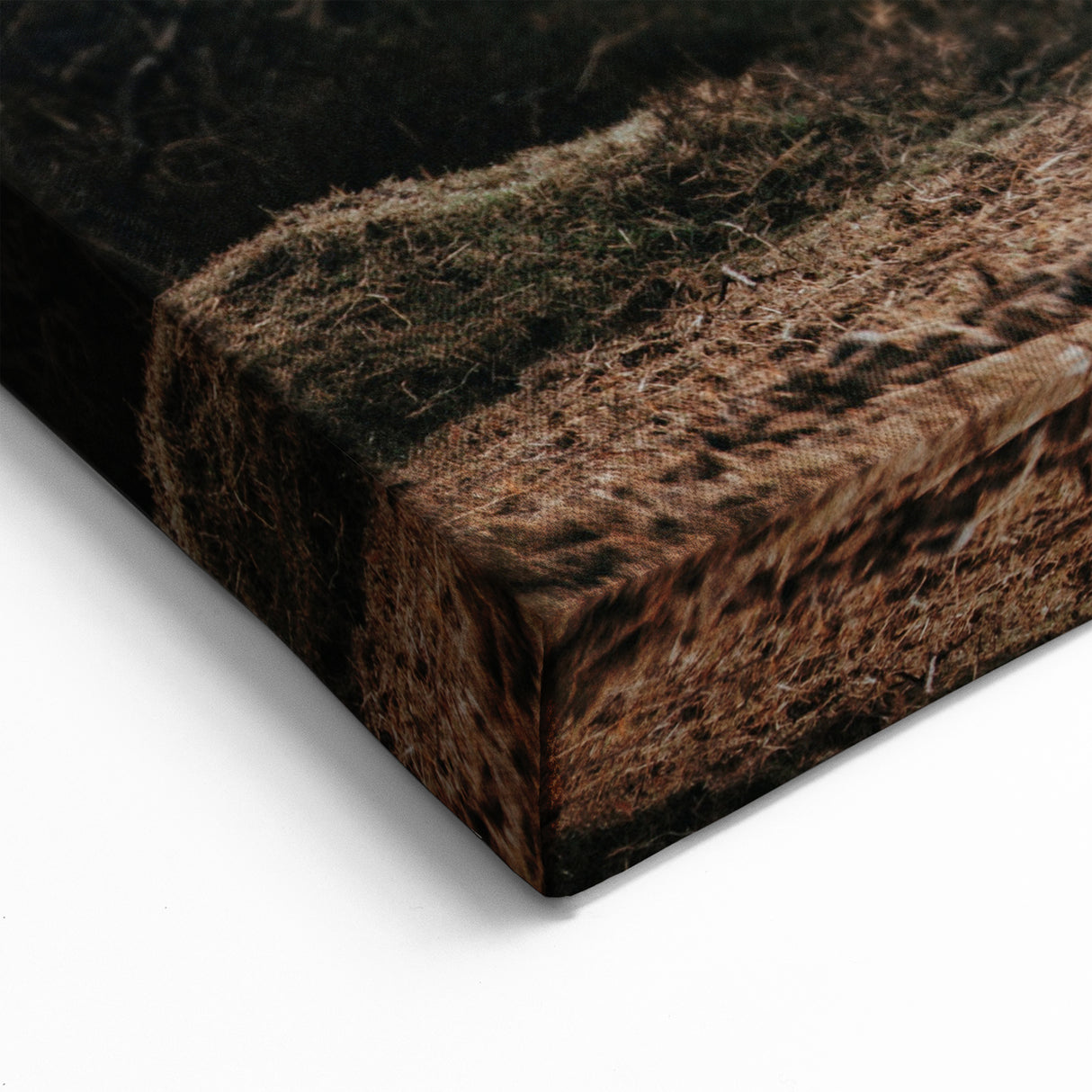 Grazing Cattle Farmhouse Wall Art – Rustic Country Style Decor Print