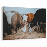 Grazing Cattle Farmhouse Wall Art – Rustic Country Style Decor Print