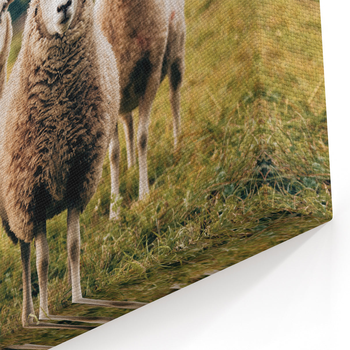 Sheep in the Field Farmhouse Wall Art – Rustic Country Style Decor Print