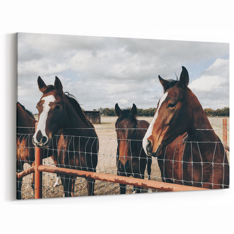 Horses at the Fence Farmhouse Wall Art – Rustic Country Style Print