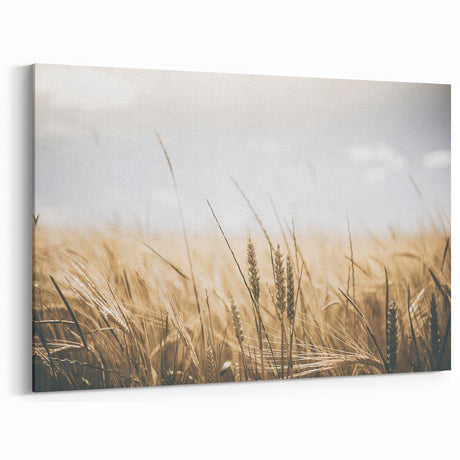 Vintage Farmhouse Wall Art: Wheat Field Serenity - Rustic Farmhouse Decor